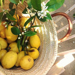 It's Citrus Season - lots of great cocktail recipes start with citrus
