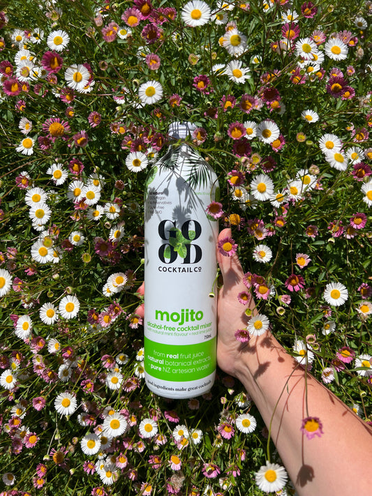 Good Cocktail Raspberry Lemonade Virgin Mojito