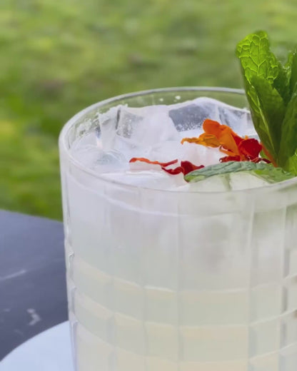 Mojito with Real Lime Juice + Natural Mint
