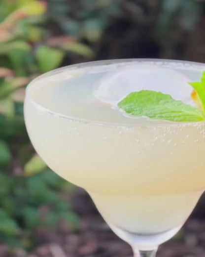 Margarita with Orange Juice + Hibiscus Flowers