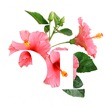 Good Cocktail Co